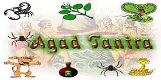 agada1