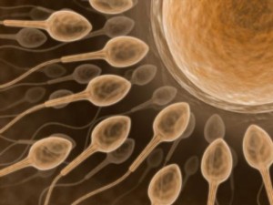 infertility0
